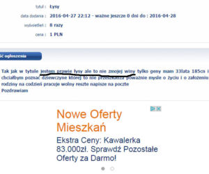 Pan pozna panią w Rzeszowie
