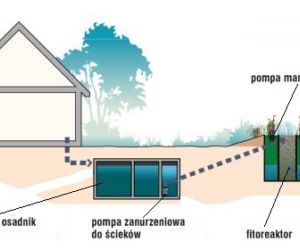 Oczyszczalnia jak ogród
