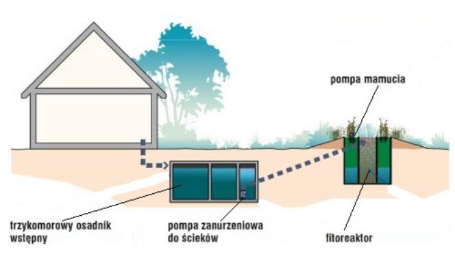 Oczyszczalnia jak ogród