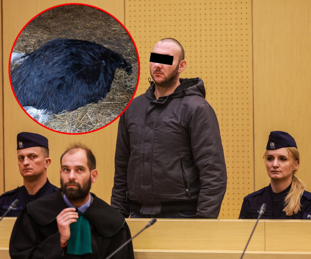 Chciał zobaczyć strusia, skatował go na śmierć.