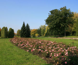 W centrum Śląska