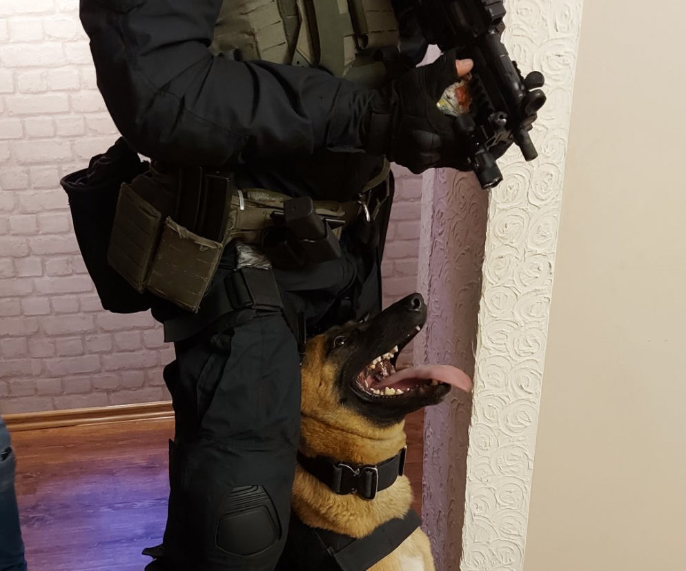 policja