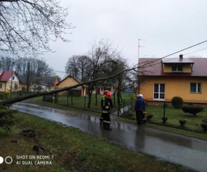 Poniedziałek Wielkanocny. Powalone drzewa i ulewy (ZDJĘCIA) 