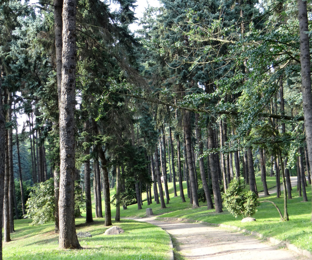 Pobicie w Parku Skaryszewskim