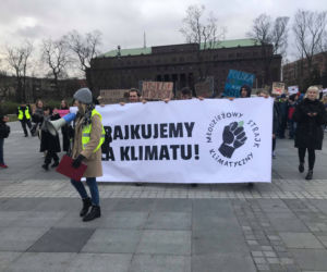 Manifestacja w obronie klimatu