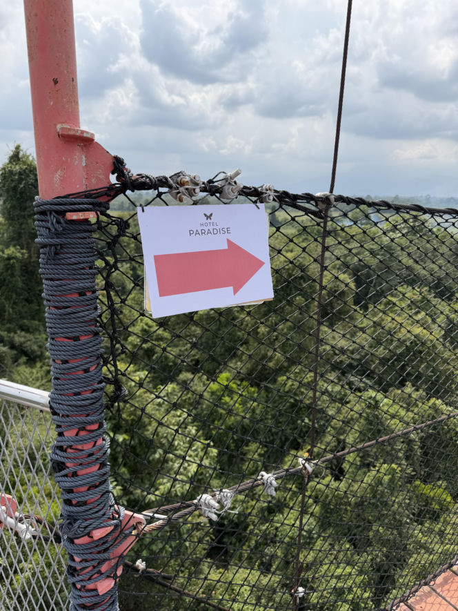 Hotel Paradise 12 - odcinek 30