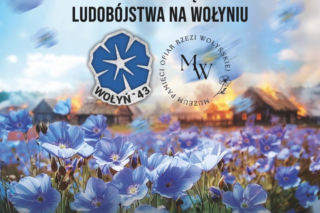 Kwiaty lnu: symbol pamięci ofiar Wołynia. Gest przed 11 lipca