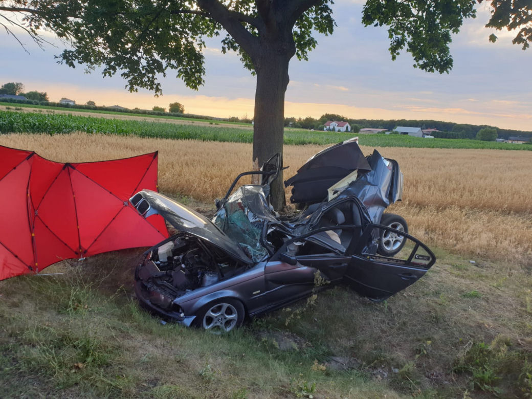 Śmiertelny wypadek pod Zgierzem. Dwóch mężczyzn zginęło w roztrzaskanym BMW. Policja szuka świadków 