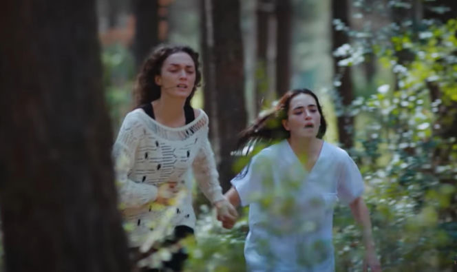 Dziedzictwo, odcinek 892: Ferit ratuje nieprzytomną Ayse, a Poyraz zabija Szakala