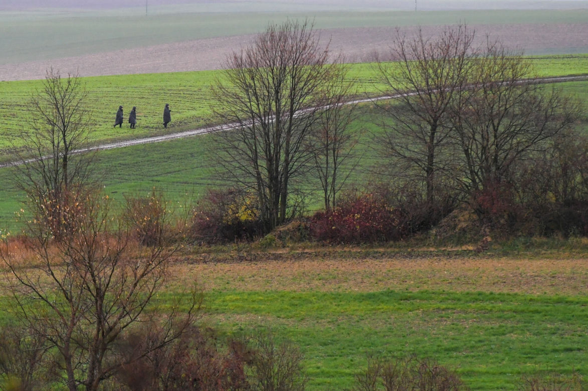 Przewodów