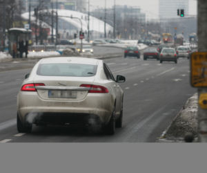 Zrobili dla Kingi białego jaguara