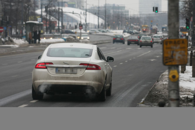 Zrobili dla Kingi białego jaguara