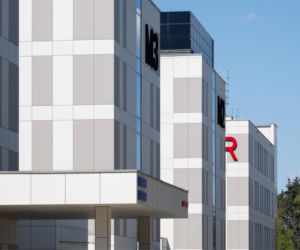 Siła materiału w architekturze komercyjnej
