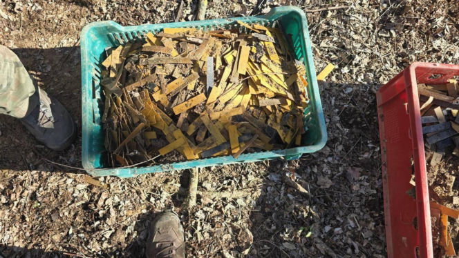 Arsenał w lesie koło Leszna. Saperzy wywozili go na raty