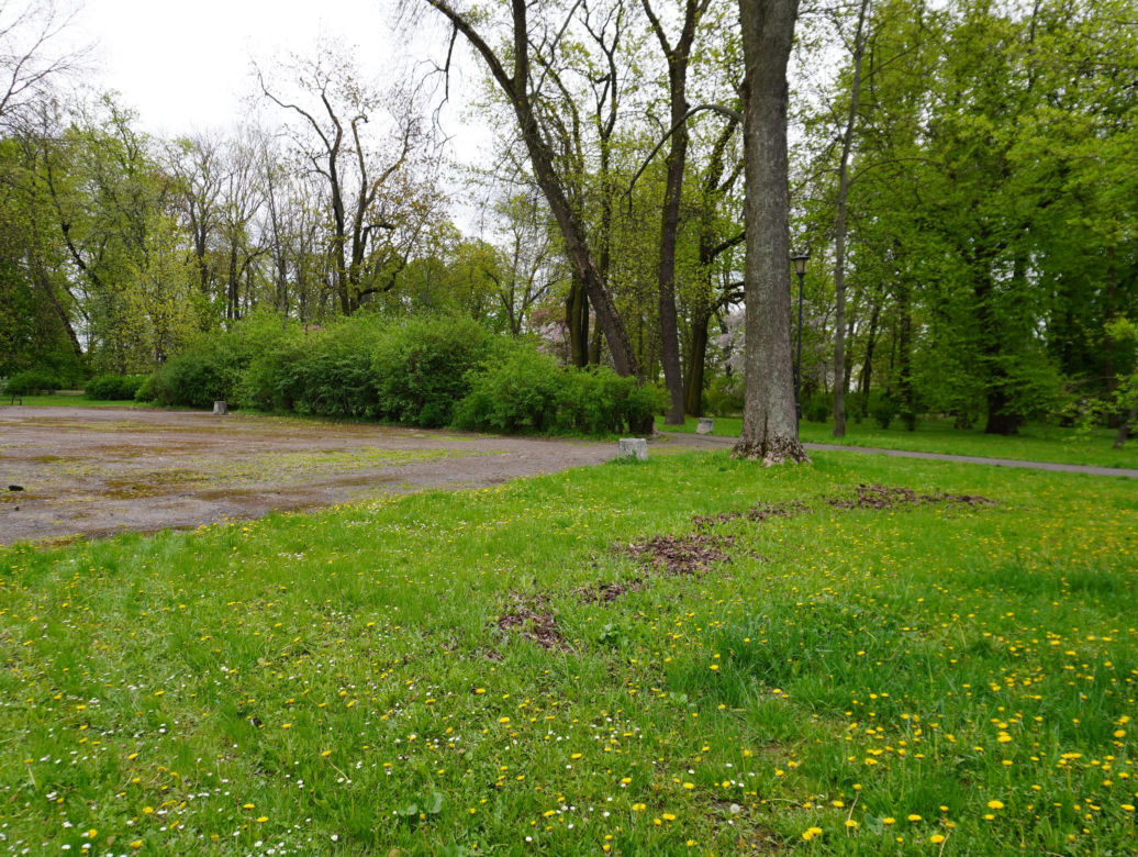 Park Bronowice wiosną 2024