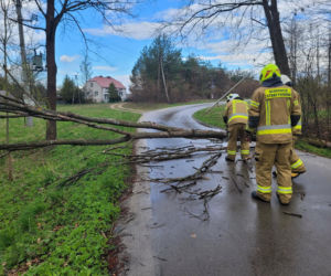 Interwencje Strażaków przy likwidacji szkód spowodowanych przez gwałtowny wiatr i burze