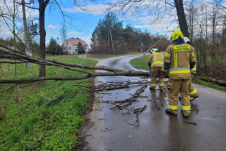 Interwencje Strażaków przy likwidacji szkód spowodowanych przez gwałtowny wiatr i burze