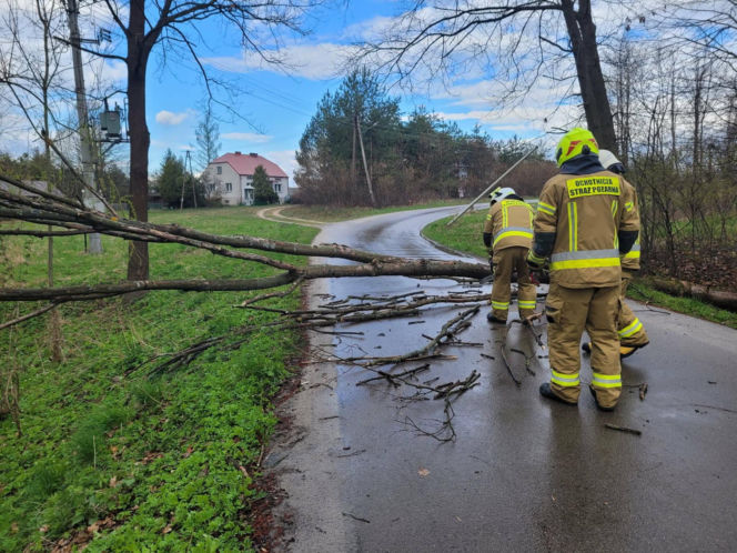 Interwencje Strażaków przy likwidacji szkód spowodowanych przez gwałtowny wiatr i burze