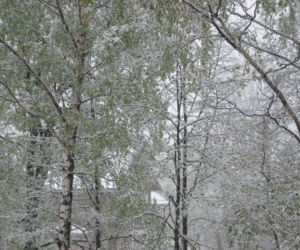 Zima w maju 2011 - zdjęcia Czytelników (Karpacz) 