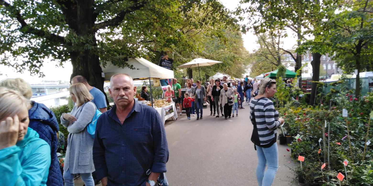 Kiermasz ogrodniczy "Pamiętajcie o ogrodach" w Szczecinie