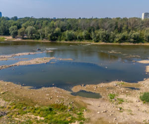 Niski stan wody w Wiśle w Warszawie, 5.08.2026