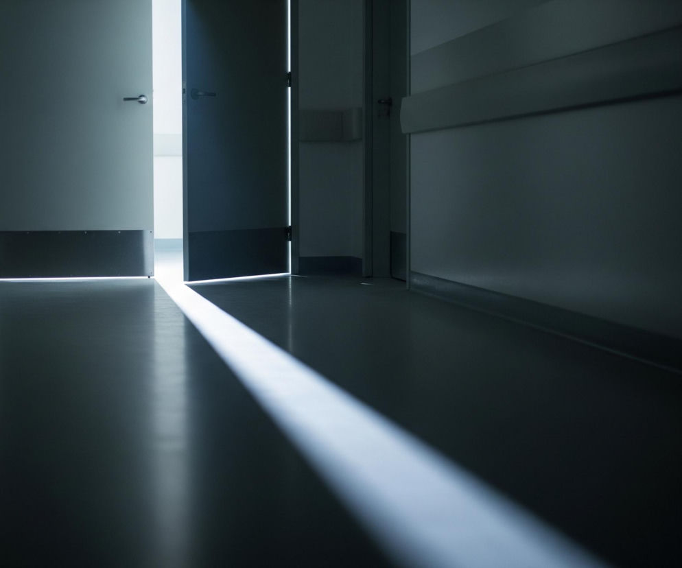 W centrum kadru widoczne są lekko uchylone, szare drzwi, zza których wydobywa się jasne, białe światło. Światło tworzy ostry, prostokątny pas na ciemnoszarej podłodze, rozciągający się od progu drzwi w głąb kadru, w kierunku prawego dolnego rogu. Ściany korytarza po obu stronach są ciemnoszare, z widocznym podłużnym panelem ochronnym na wysokości mniej więcej połowy ściany po prawej stronie. Pomieszczenie jest ogólnie ciemne, z wyraźnym kontrastem między oświetlonym obszarem a zacienionymi powierzchniami.