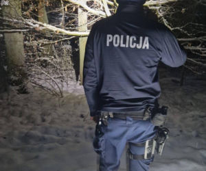 Zgubili się w lesie pod Sulechowem. Minuty dzieliły ich od tragedii!