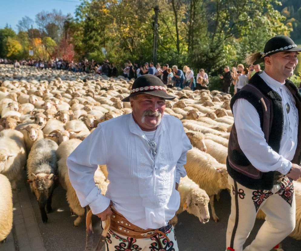 Już nie Zakopane. To miasto będzie hitem wakacyjnym Polaków