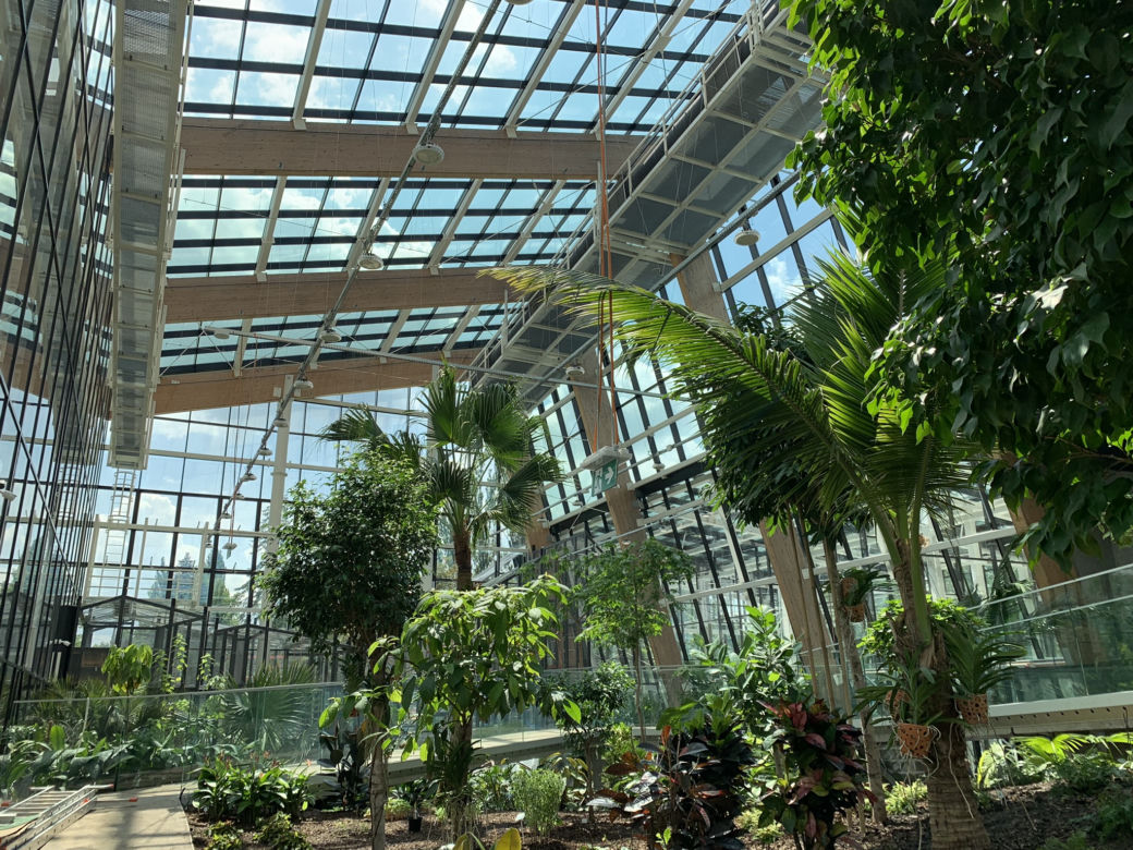 Budowa Egzotarium w Sosnowcu niemal na finiszu. Zobacz, jak wygląda "wizytówka" Sosnowca od środka