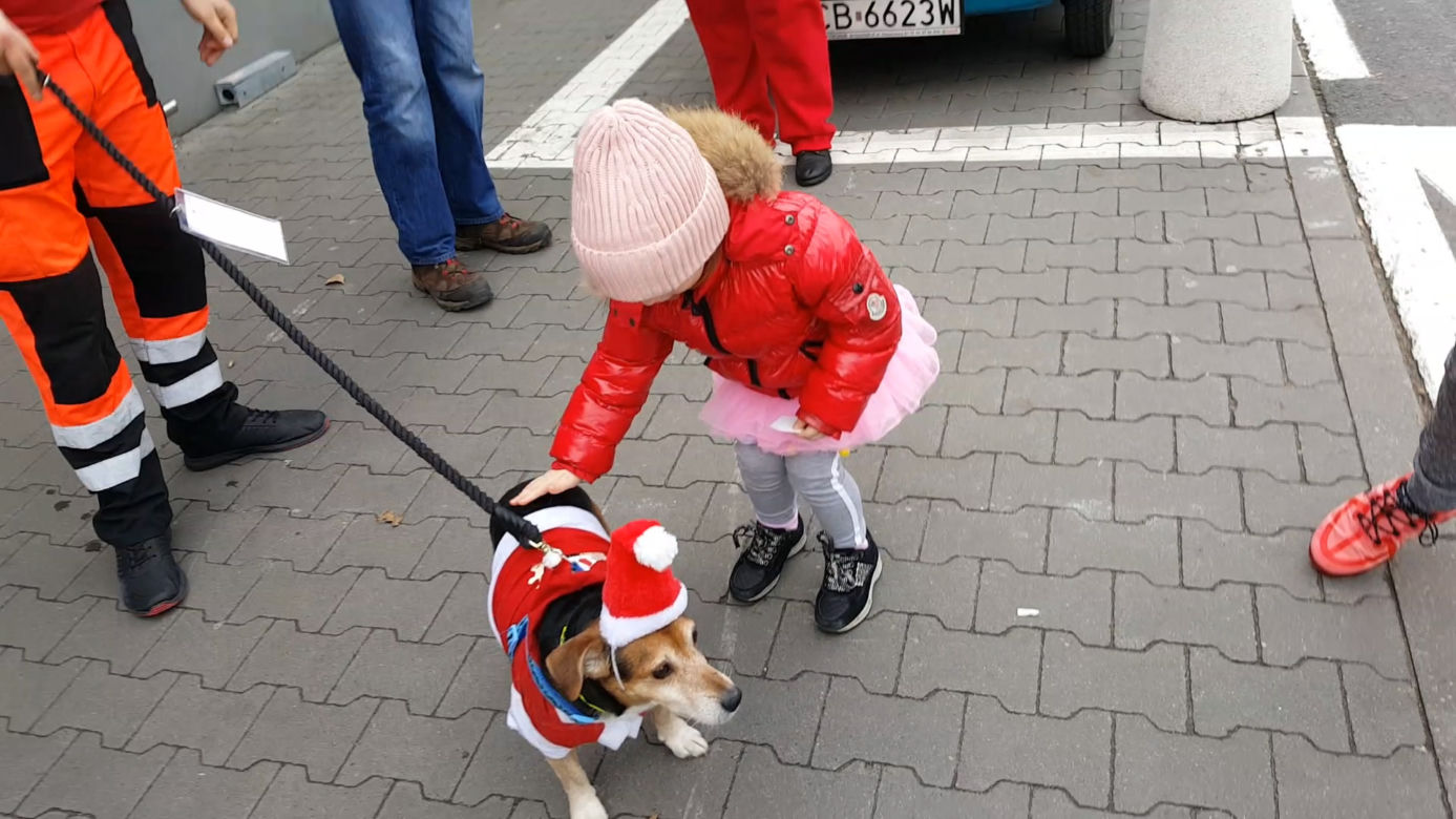 Motomikołaje 2019 w Bydgoszczy 