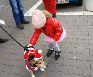 Motomikołaje 2019 w Bydgoszczy 
