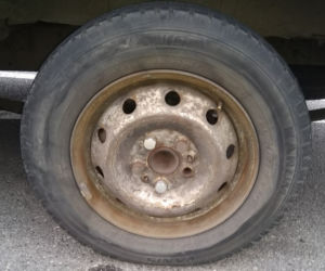 Przewóz mięsa w skandalicznych warunkach