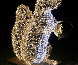 Świąteczne iluminacje w Łomży