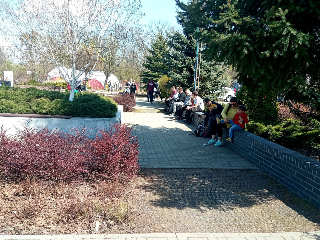 I Grudziądzki Piknik Naukowy 