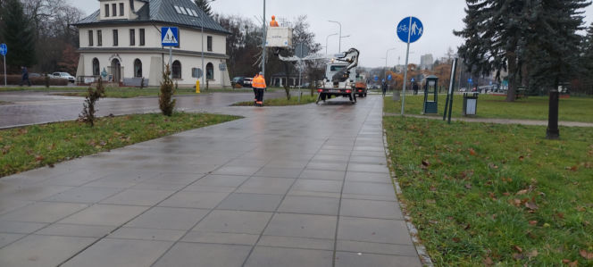 Bajkowa instalacja przed zamojski ratuszem