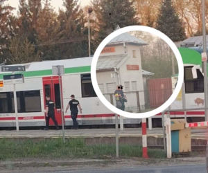 Policja interweniowała w pociągu