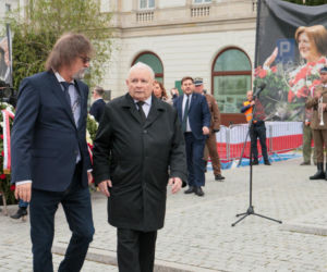 Koty Jarka nas terroryzują