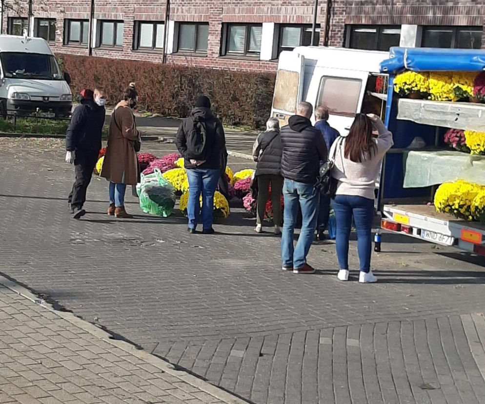 Kup Chryzantemę na Białołęcę