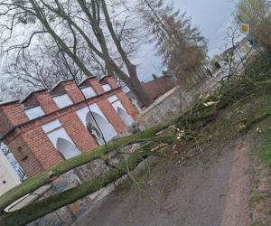 Interwencje strażaków w powiecie iławskim podczas Wielkanocy