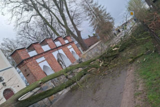 Interwencje strażaków w powiecie iławskim podczas Wielkanocy