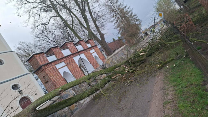 Interwencje strażaków w powiecie iławskim podczas Wielkanocy