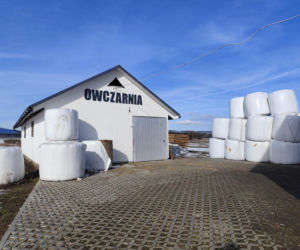 Zofia przyjechała z USA, by opiekować się mężem. Pasierb zamordował ją w owczarni