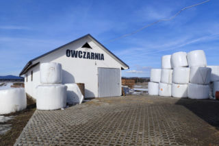 Zofia przyjechała z USA, by opiekować się mężem. Pasierb zamordował ją w owczarni