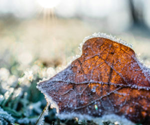 Nie będzie zimy stulecia w grudniu. Takiej prognozy pogody już dawno nie widzieliśmy! Co ze świętami Bożego Narodzenia? 