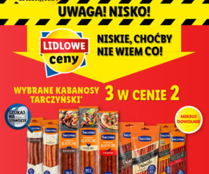 Majówka last minute w Lidlu