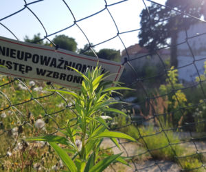 Potworny wypadek w Tarnowie! Nastolatek spadł z wysokości 15 metrów!