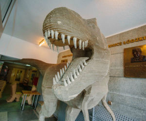 1 Tekturowy dinozaur robi wrażenie