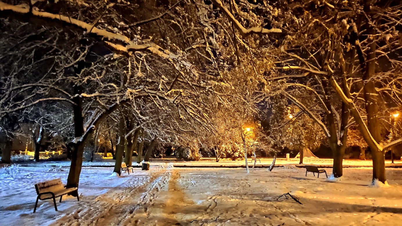 Park Miejski jesienią