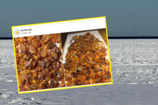 Poszła na spacer i wróciła z prawdziwym skarbem! Niezwykłe znalezisko pani Katarzyny na Pomorzu