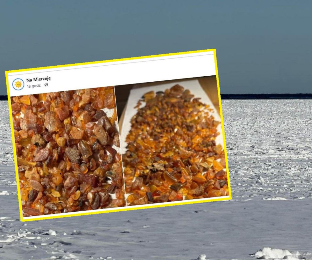 Niezwykłe znalezisko na Mierzei Wiślanej. Pani Katarzyna wróciła z pełnymi garściami